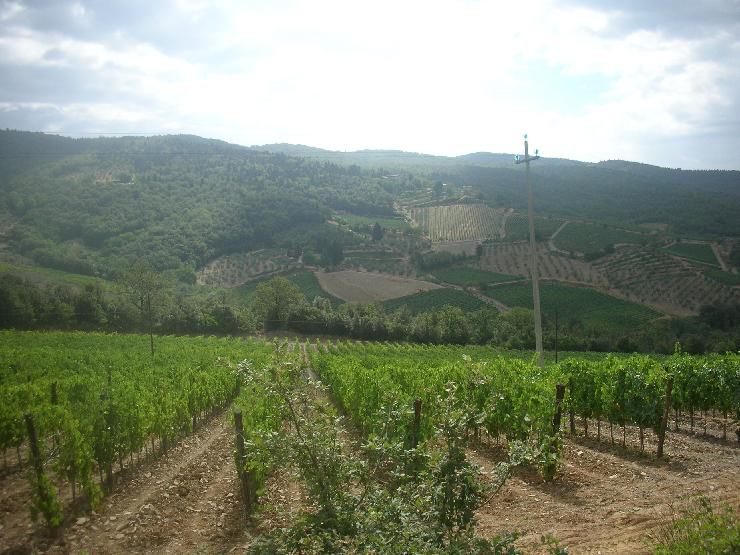 Click for original image 834k 2592x1944