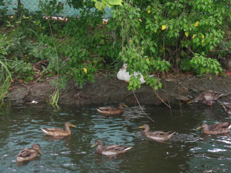 Click for original image 906k 2592x1944