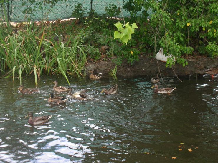 Click for original image 905k 2592x1944