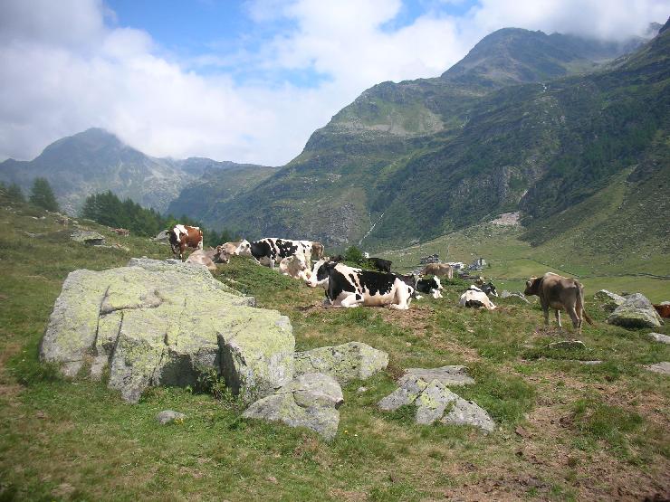 Click for original image 894k 2592x1944