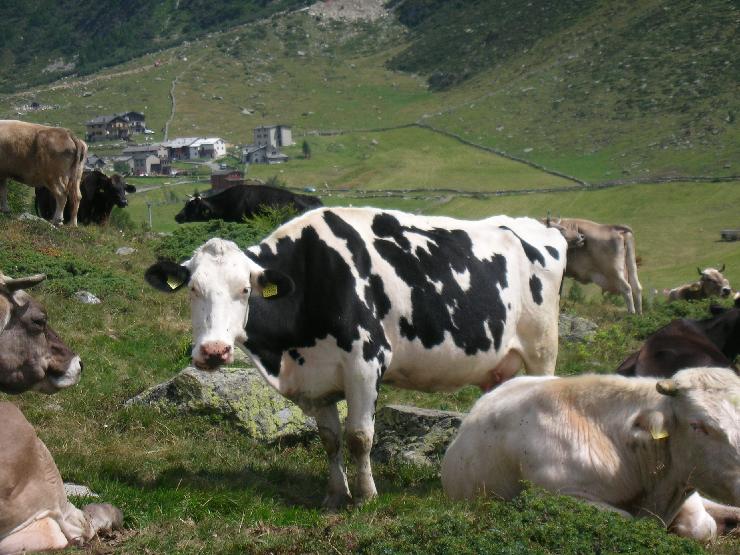 Click for original image 848k 2592x1944