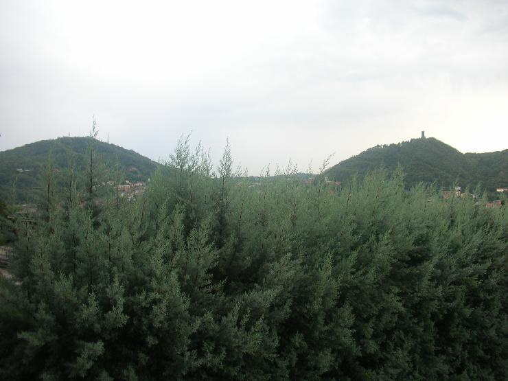 Click for original image 851k 2592x1944