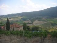 Click for large version