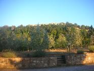 Click for large version