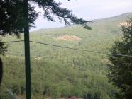 Click for large version