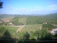 Click for large version