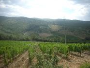 Click for large version