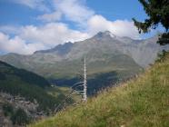 Click for large version