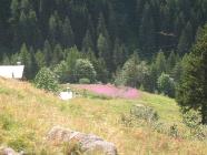 Click for large version